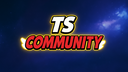TS Community Brawl Banner