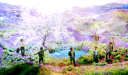 c.a.s. banner