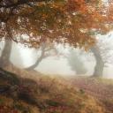 𖤐𝐓𝐰𝐢𝐥𝐢𝐠𝐡𝐭 𝐑𝐞𝐯𝐞𝐫𝐢𝐞𖤐 Banner