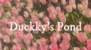 Duckky's Pond Discord server banner