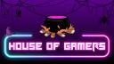 ⌜House of Gamers⌟ Banner