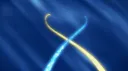 Zenkai banner