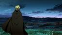 Vinland Banner