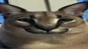 single server banner