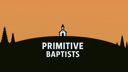 Primitive Baptists Discord server banner