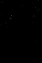 Victoria Monét Banner