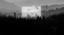 Пушистое королевство banner
