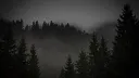 cообщество nike banner