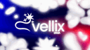 VELLIX DMA banner