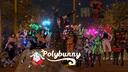 Polybunny Banner
