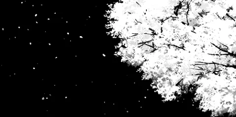 ᴀɴʏᴡᴀʏ Discord server banner