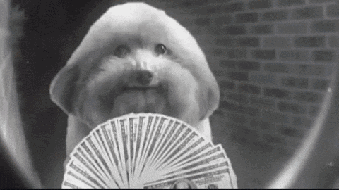 SALON | OFFENSIVE MEMES & CHAT Discord server banner