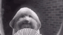 SALON | OFFENSIVE MEMES & CHAT server banner