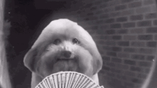 SALON | OFFENSIVE MEMES & CHAT Discord server banner