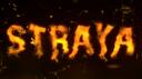 StrayaDayZ Banner