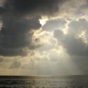 celestial • social • nitro • pfp Banner