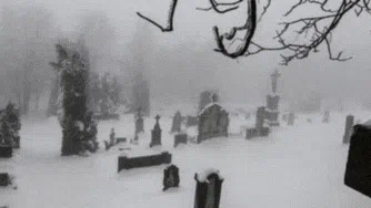 haunted Discord server banner