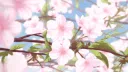 ╰୧ ݁ . suki ¹⁸⁺ ݁ ♡ Discord server banner