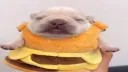Fruity Pibbles Discord server banner