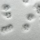 Soul Residents Banner