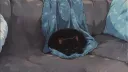 Paige’s Place 🤍 banner