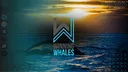 Winning Whales Trading Tank banner