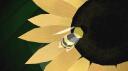 kaul's bees  Banner