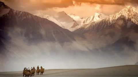MirrORG S2: The Silk Road banner