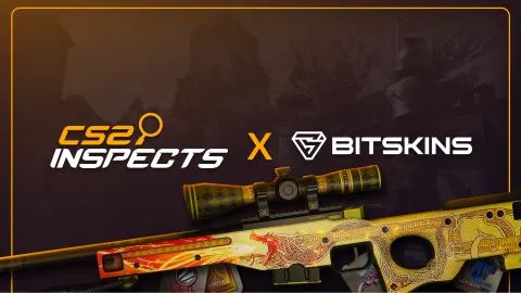 Epidemic's CS2Inspects.com banner