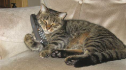 Unofficial Gartic Phone Dedicated server banner