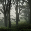 The Sxcrifices Discord server banner