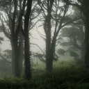 The Sxcrifices server banner