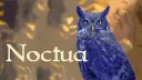 Noctua banner