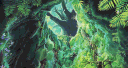 fame banner