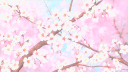 sakura Discord server banner