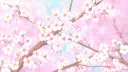 sakura Discord server banner