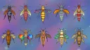 Free Fund - Bee Club banner