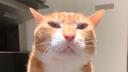 hai :3 (18+) Banner