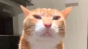 hai :3 (18+) banner