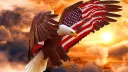 United States of America banner