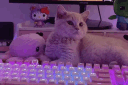 ୨୧ ⋆｡˚ ⋆ (.gg/vile) (.gg/kuromi) banner