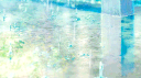serene banner
