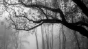 ﹒﹒/flirts banner
