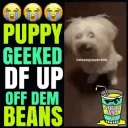 millie (s’ wolf pack) empire Banner