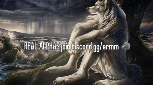 erm Discord server banner