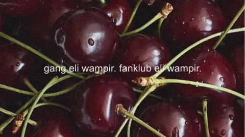 gang eli wampir. fanklub eli wampir.🍒 banner