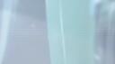 HONKAI : STELLA  || Dead server lol Banner