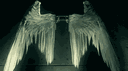 𝐇𝐚𝐯𝐞𝐧 banner