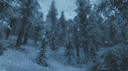 FJORDS banner