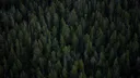 JAMES28 FAN CLUB V2 banner